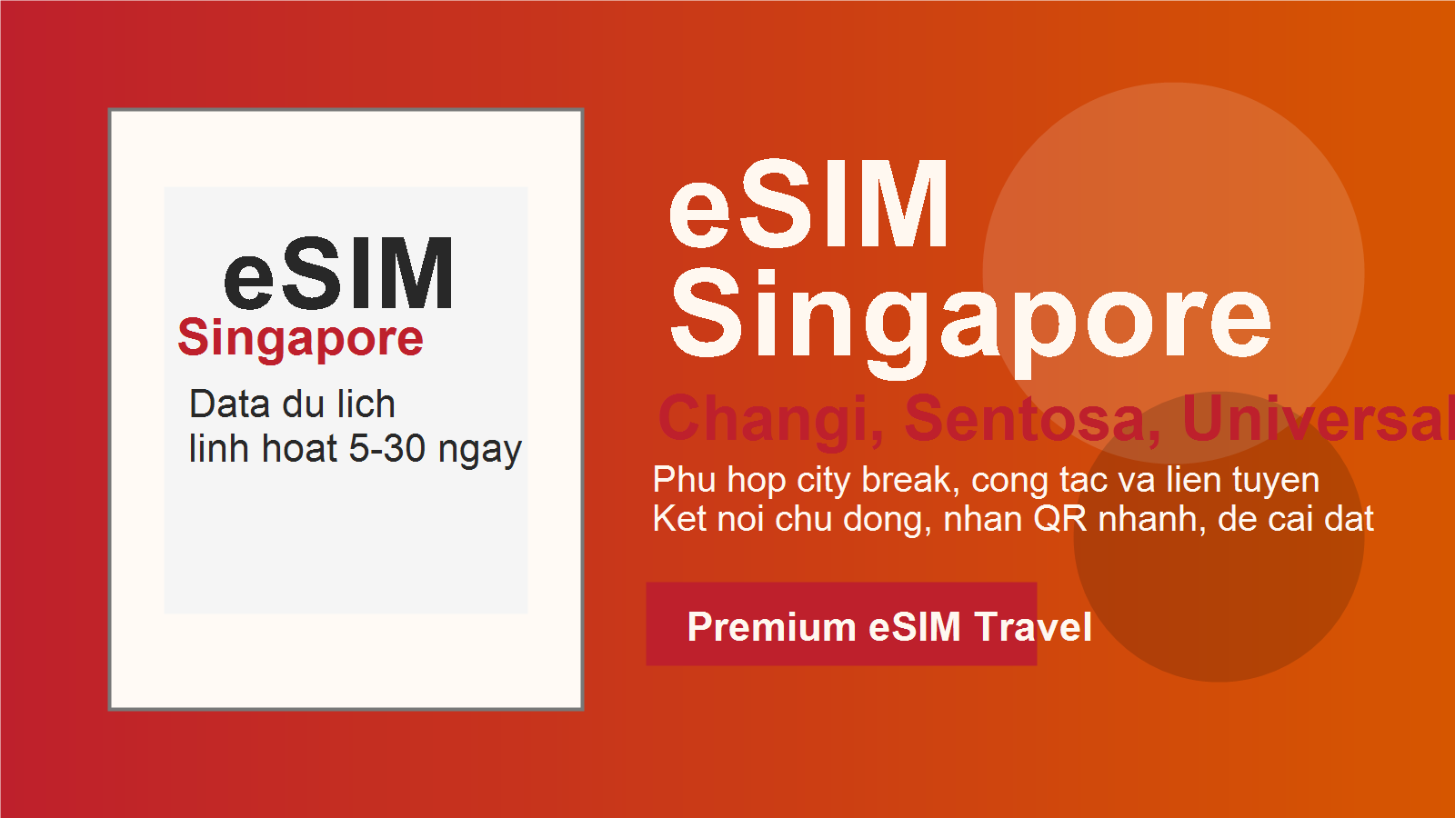 Lỗi eSIM Singapore không có sóng: Xử lý thế nào?