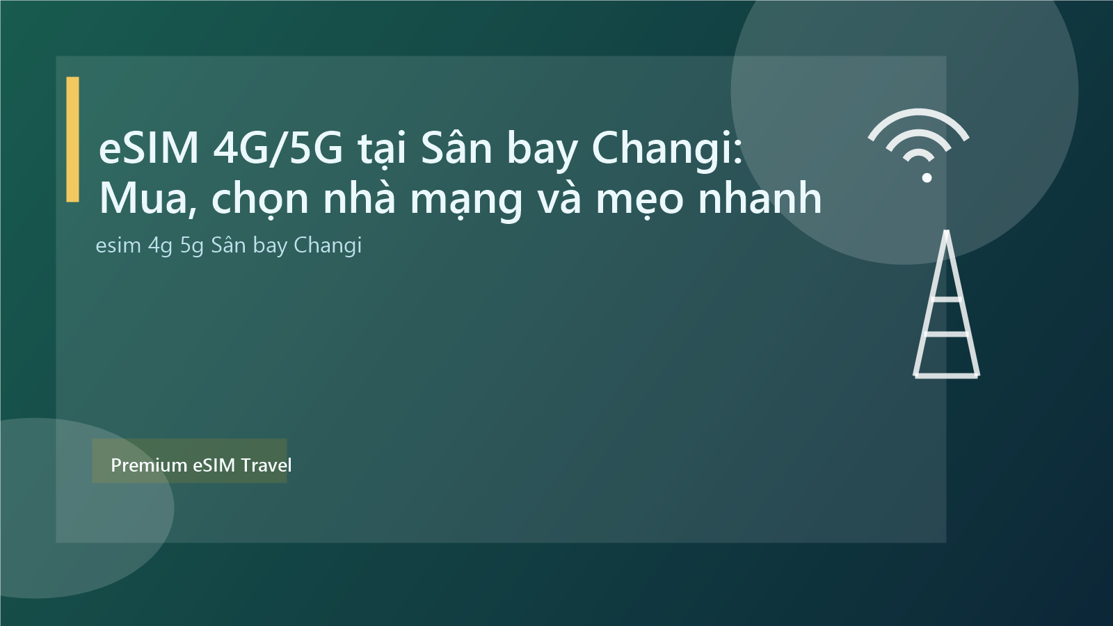 eSIM 4G/5G tại Sân bay Changi: Mua, chọn nhà mạng và mẹo nhanh
