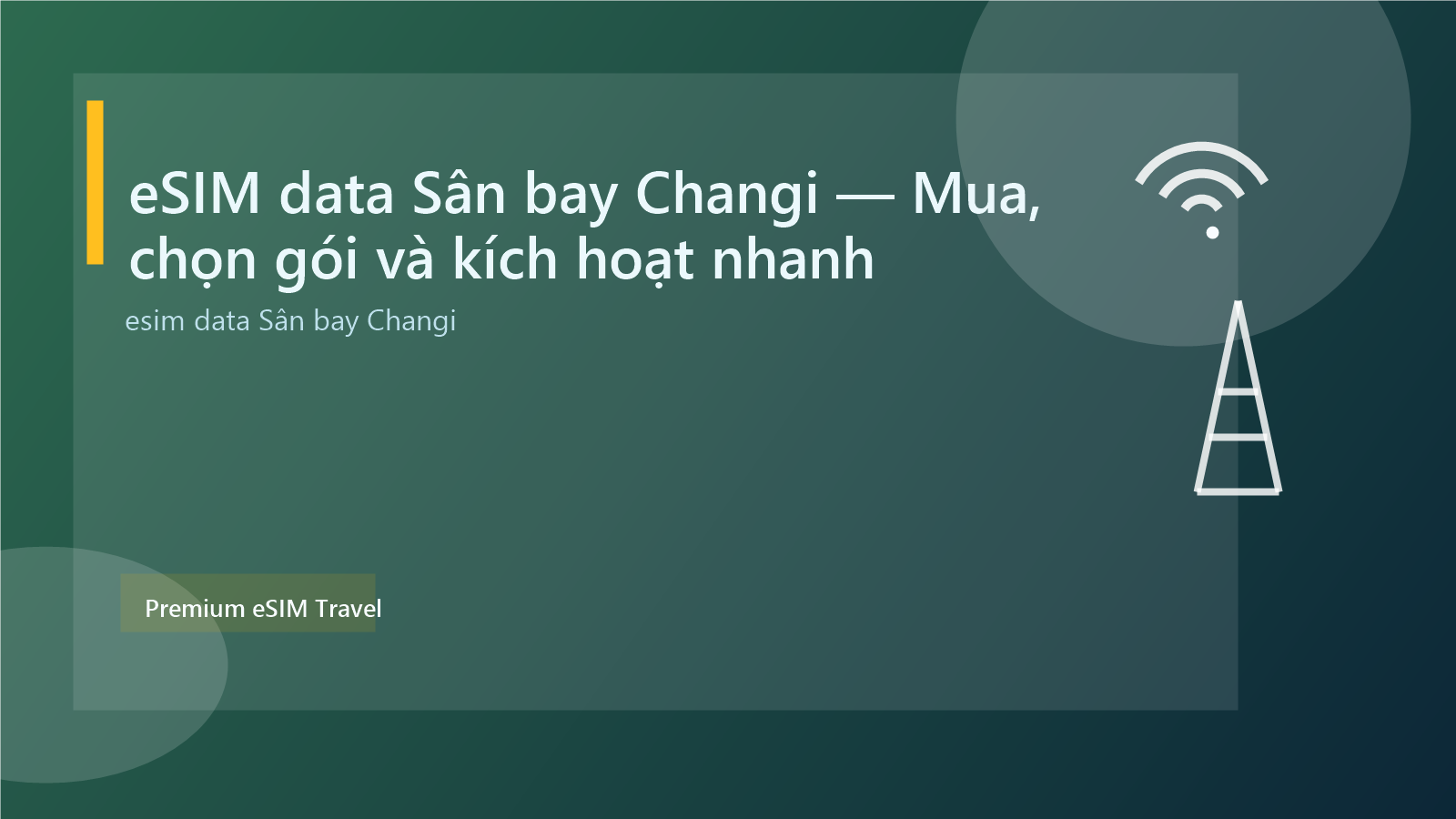 eSIM data Sân bay Changi — Mua, chọn gói và kích hoạt nhanh