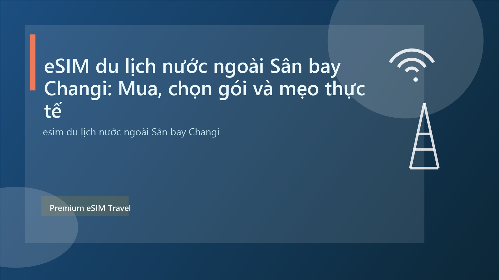 eSIM du lịch nước ngoài Sân bay Changi: Mua, chọn gói và mẹo thực tế