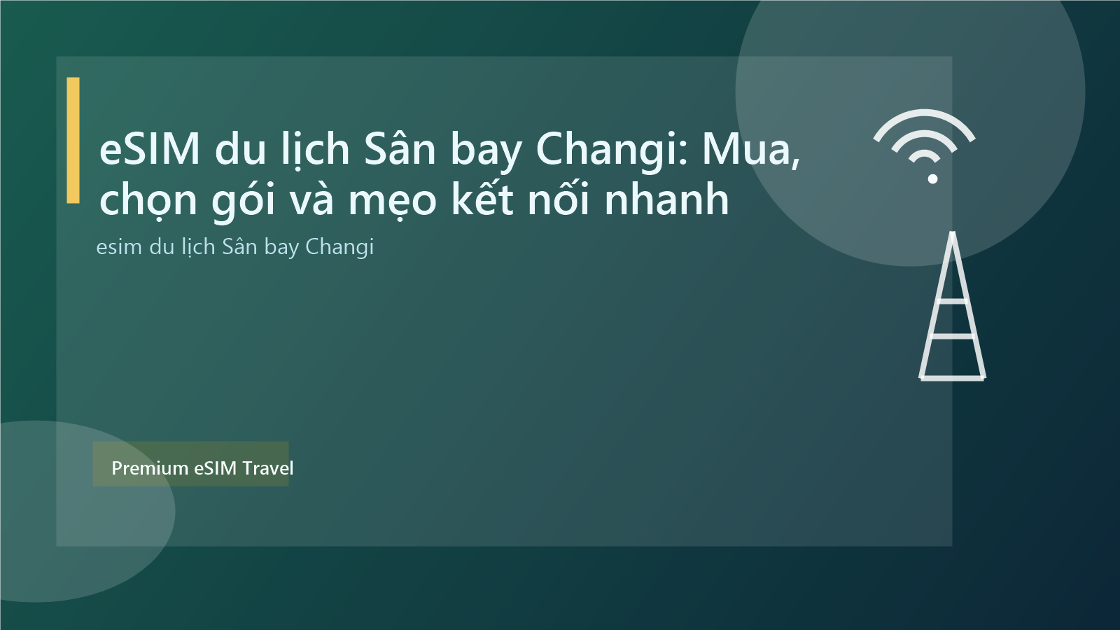 eSIM du lịch Sân bay Changi: Mua, chọn gói và mẹo kết nối nhanh