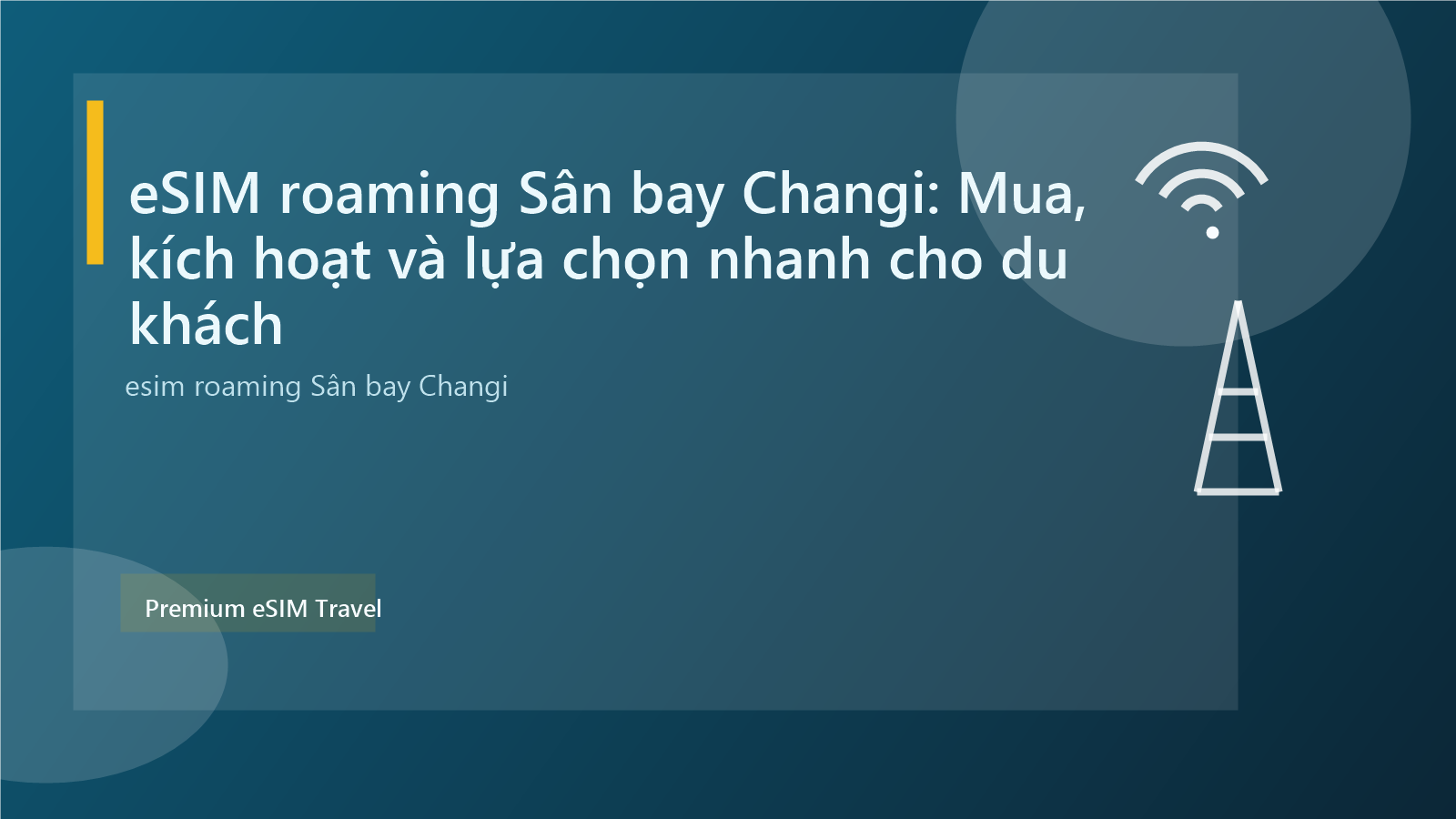 eSIM roaming Sân bay Changi: Mua, kích hoạt và lựa chọn nhanh cho du khách