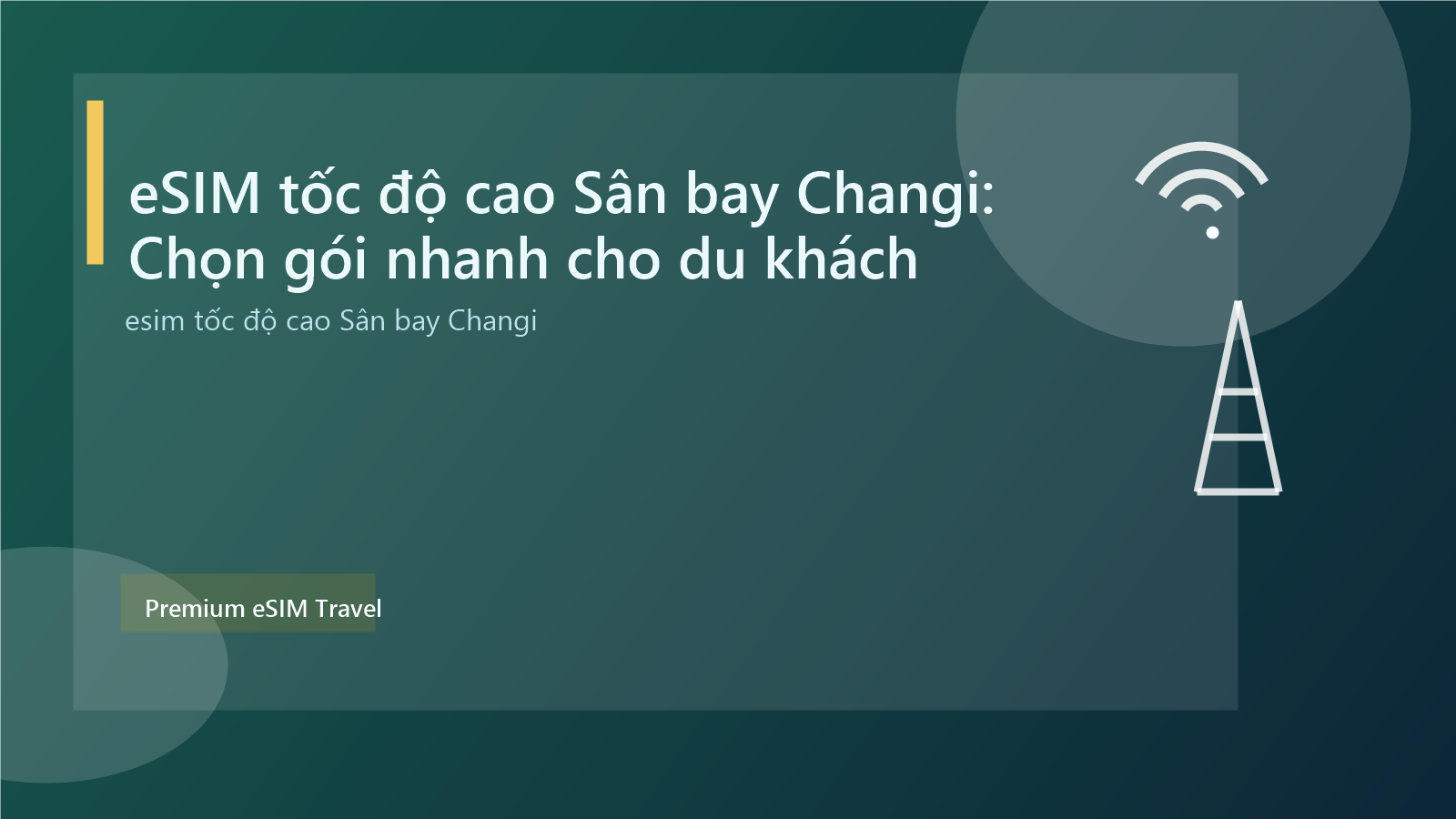 eSIM tốc độ cao Sân bay Changi: Chọn gói nhanh cho du khách