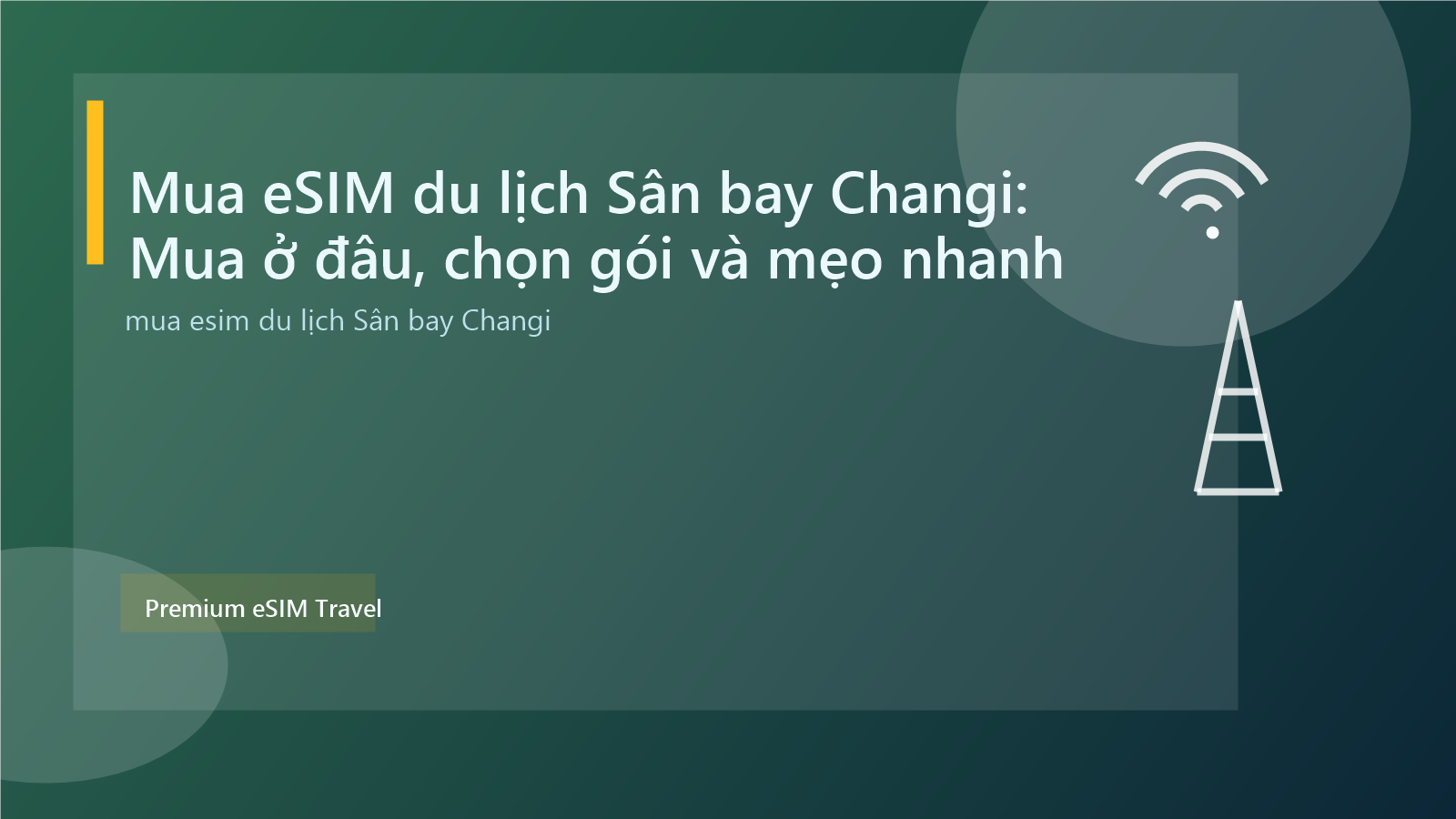 Mua eSIM du lịch Sân bay Changi: Mua ở đâu, chọn gói và mẹo nhanh